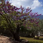 Lilos Country house *