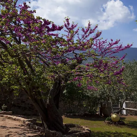 Lilos Casa de Campo *