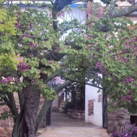 Casa Rural Los Lilos Gotor