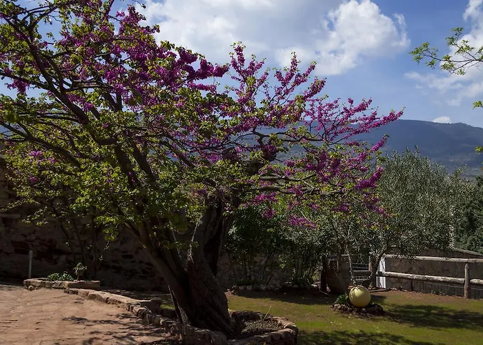 Lilos Casa de Campo *