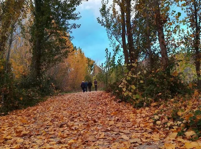 Lilos Country house *