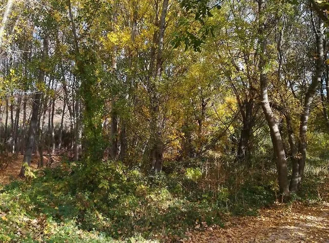 Country house Lilos *